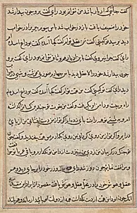 Page from Tales of a Parrot (Tuti-nama): text page by Unknown Artist