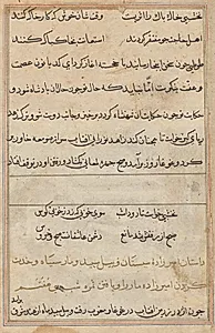Page from Tales of a Parrot (Tuti-nama): text page by Unknown Artist