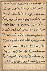 Page from Tales of a Parrot (Tuti-nama): text page by Unknown Artist