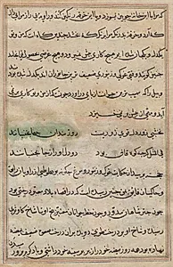 Page from Tales of a Parrot (Tuti-nama): text page by Unknown Artist