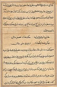 Page from Tales of a Parrot (Tuti-nama): text page by Unknown Artist