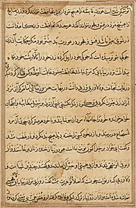 Page from Tales of a Parrot (Tuti-nama): text page by Unknown Artist