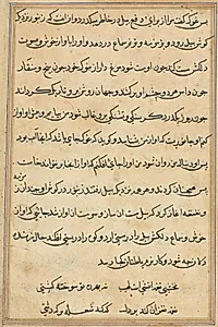Page from Tales of a Parrot (Tuti-nama): text page by Unknown Artist