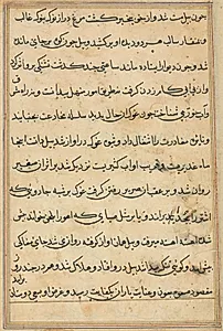Page from Tales of a Parrot (Tuti-nama): text page by Unknown Artist