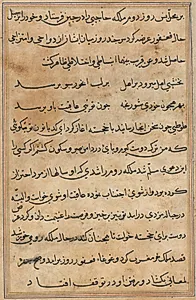 Page from Tales of a Parrot (Tuti-nama): text page by Unknown Artist