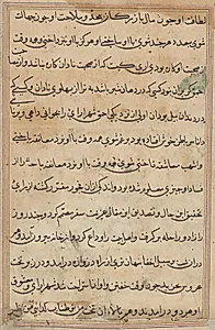 Page from Tales of a Parrot (Tuti-nama): text page by Unknown Artist