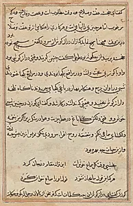 Page from Tales of a Parrot (Tuti-nama): text page by Unknown Artist