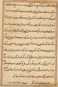 Page from Tales of a Parrot (Tuti-nama): text page by Unknown Artist