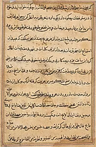 Page from Tales of a Parrot (Tuti-nama): text page by Unknown Artist