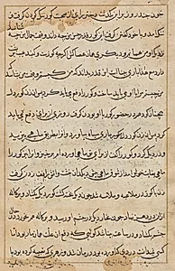 Page from Tales of a Parrot (Tuti-nama): text page by Unknown Artist