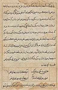 Page from Tales of a Parrot (Tuti-nama): text page by Unknown Artist