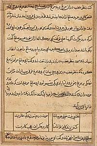 Page from Tales of a Parrot (Tuti-nama): text page by Unknown Artist