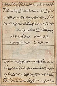 Page from Tales of a Parrot (Tuti-nama): text page by Unknown Artist