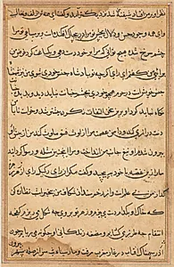 Page from Tales of a Parrot (Tuti-nama): text page by Unknown Artist