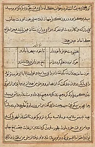 Page from Tales of a Parrot (Tuti-nama): text page by Unknown Artist