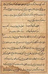 Page from Tales of a Parrot (Tuti-nama): text page by Unknown Artist