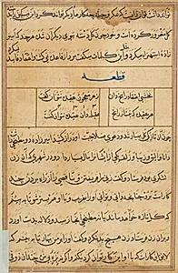 Page from Tales of a Parrot (Tuti-nama): text page by Unknown Artist