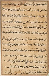 Page from Tales of a Parrot (Tuti-nama): text page by Unknown Artist