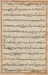 Page from Tales of a Parrot (Tuti-nama): text page by Unknown Artist