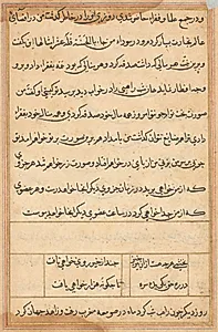 Page from Tales of a Parrot (Tuti-nama): text page by Unknown Artist