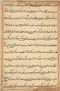 Page from Tales of a Parrot (Tuti-nama): text page by Unknown Artist