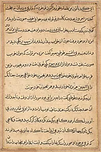 Page from Tales of a Parrot (Tuti-nama): text page by Unknown Artist