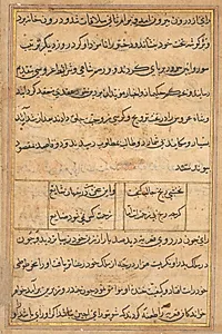 Page from Tales of a Parrot (Tuti-nama): text page by Unknown Artist