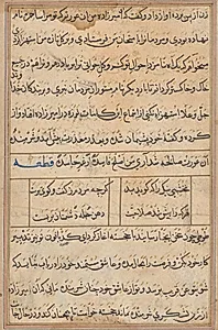 Page from Tales of a Parrot (Tuti-nama): text page by Unknown Artist