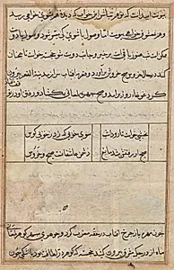 Page from Tales of a Parrot (Tuti-nama): text page by Unknown Artist