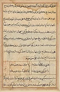 Page from Tales of a Parrot (Tuti-nama): text page by Unknown Artist