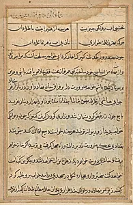 Page from Tales of a Parrot (Tuti-nama): text page by Unknown Artist