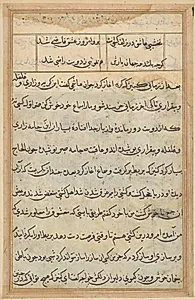 Page from Tales of a Parrot (Tuti-nama): text page by Unknown Artist