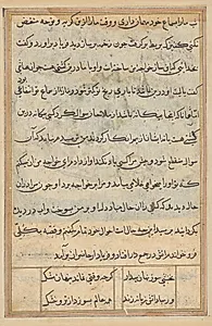 Page from Tales of a Parrot (Tuti-nama): text page by Unknown Artist