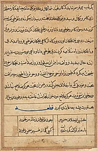Page from Tales of a Parrot (Tuti-nama): text page by Unknown Artist