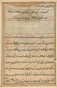 Page from Tales of a Parrot (Tuti-nama): text page by Unknown Artist