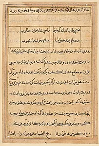 Page from Tales of a Parrot (Tuti-nama): text page by Unknown Artist