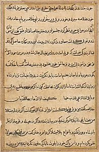 Page from Tales of a Parrot (Tuti-nama): text page by Unknown Artist