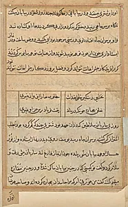 Page from Tales of a Parrot (Tuti-nama): text page by Unknown Artist