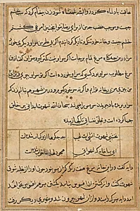 Page from Tales of a Parrot (Tuti-nama): text page by Unknown Artist
