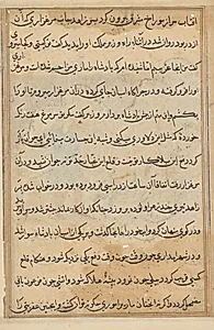 Page from Tales of a Parrot (Tuti-nama): text page by Unknown Artist