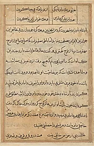Page from Tales of a Parrot (Tuti-nama): text page by Unknown Artist