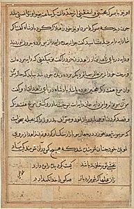 Page from Tales of a Parrot (Tuti-nama): text page by Unknown Artist