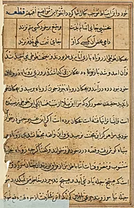 Page from Tales of a Parrot (Tuti-nama): text page by Unknown Artist