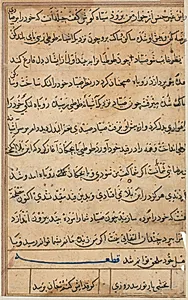 Page from Tales of a Parrot (Tuti-nama): text page by Unknown Artist