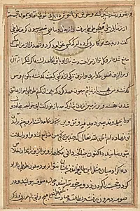 Page from Tales of a Parrot (Tuti-nama): text page by Unknown Artist