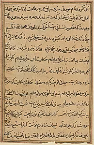 Page from Tales of a Parrot (Tuti-nama): text page by Unknown Artist