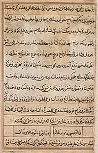 Page from Tales of a Parrot (Tuti-nama): text page