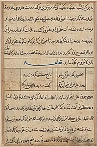 Page from Tales of a Parrot (Tuti-nama): text page by Unknown Artist