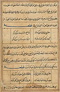 Page from Tales of a Parrot (Tuti-nama): text page by Unknown Artist