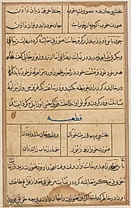 Page from Tales of a Parrot (Tuti-nama): text page by Unknown Artist